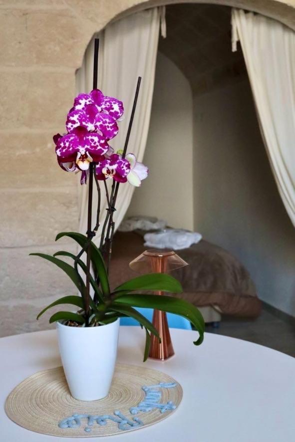 Panta Rei Wellness & Charme Monopoli Διαμέρισμα Εξωτερικό φωτογραφία